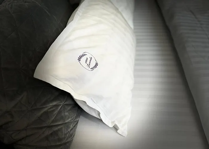 Casa Lavenda 度假居 *